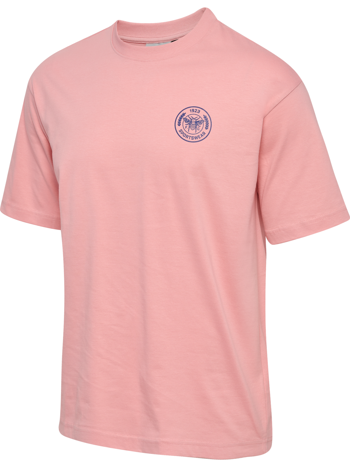 hmlSWARM LOOSE T-SHIRT, BRIDAL ROSE, packshot