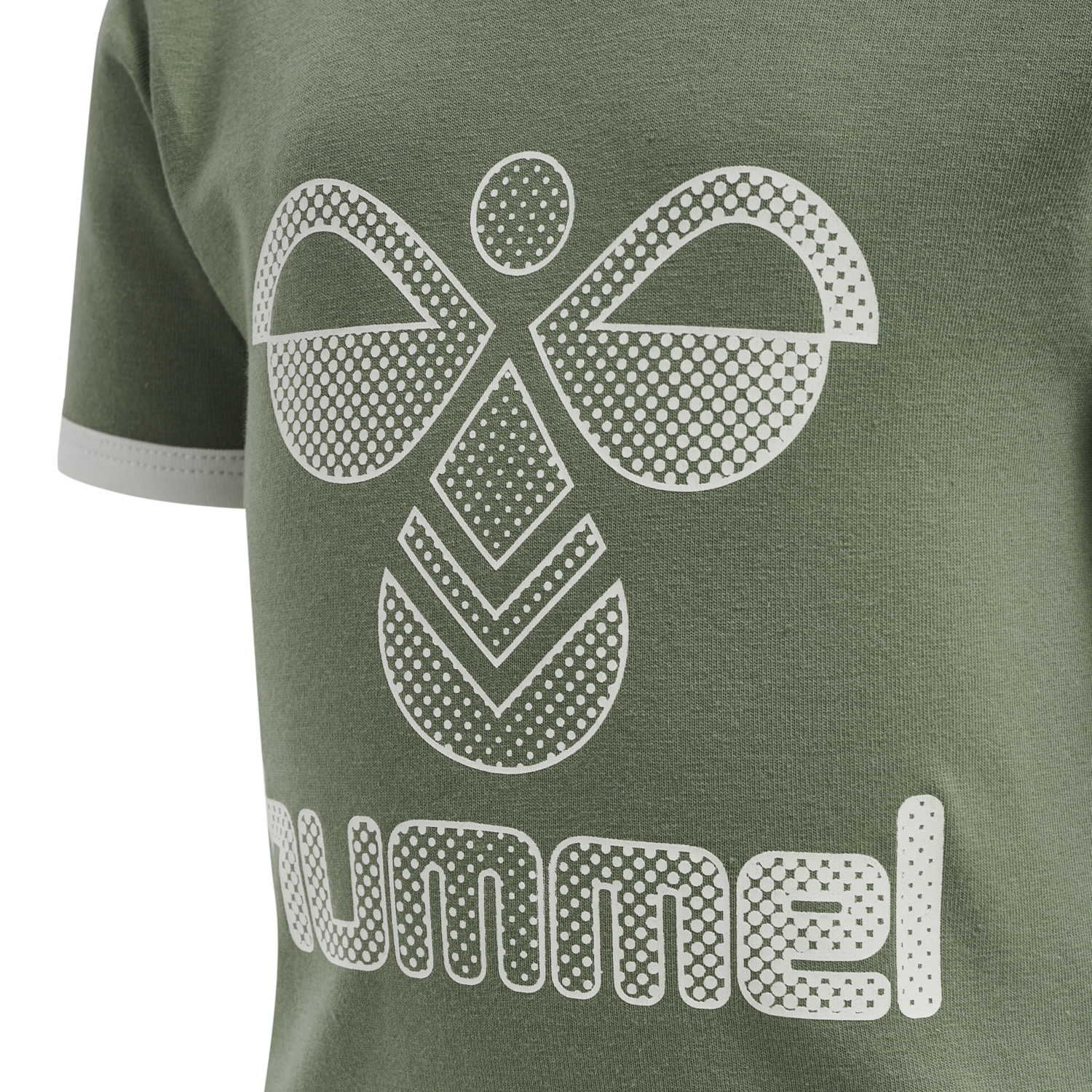 hmlPROUD FLIPPER BODY S/S, SEA SPRAY, packshot