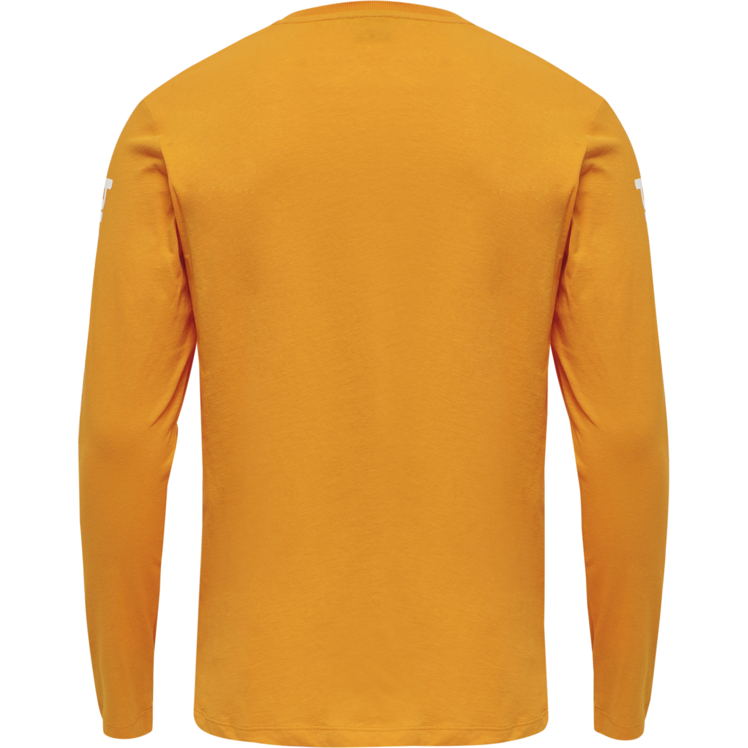 hmlLGC BIRK T-SHIRT L/S, 5051, packshot