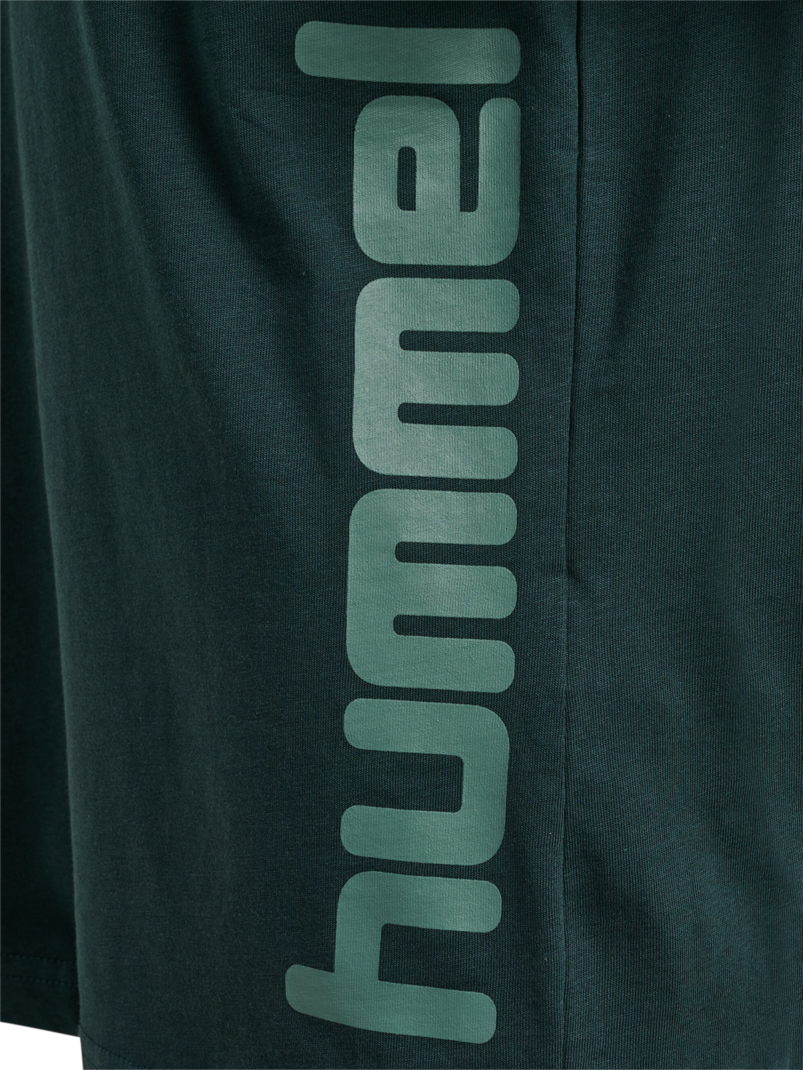 hmlPRINT T-SHIRT S/S, GREEN GABLES, packshot