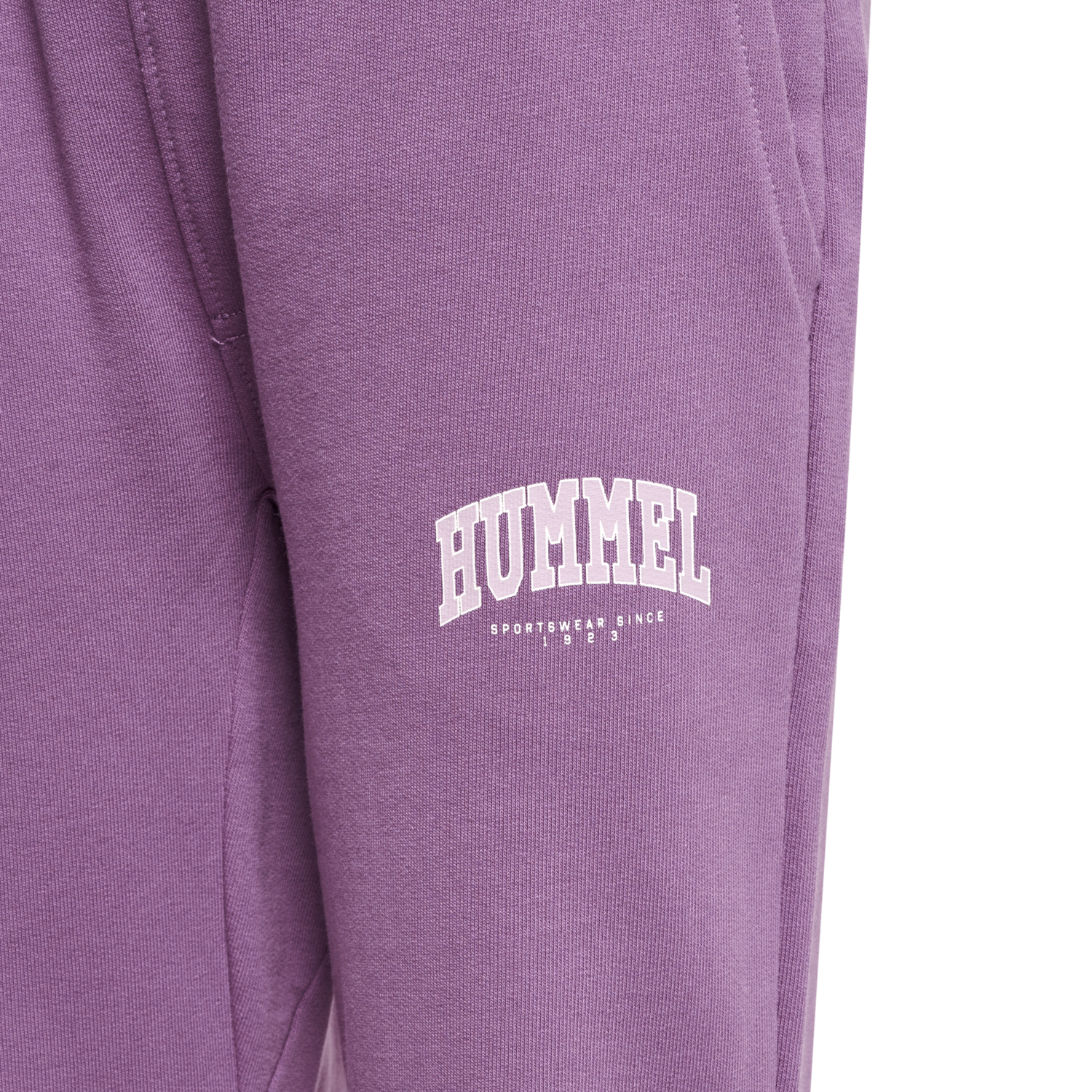 hmlFAST PANTS, ARGYLE PURPLE, packshot